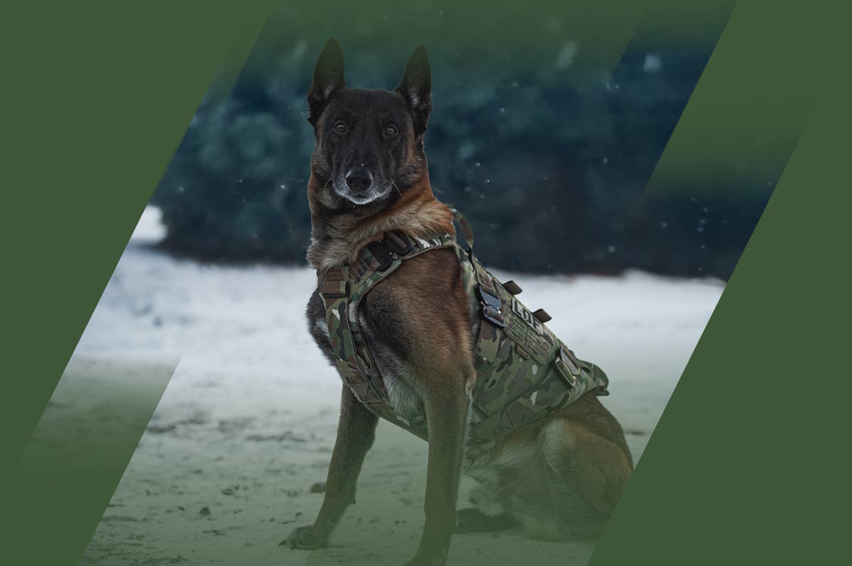 LOF K9 Defender Program